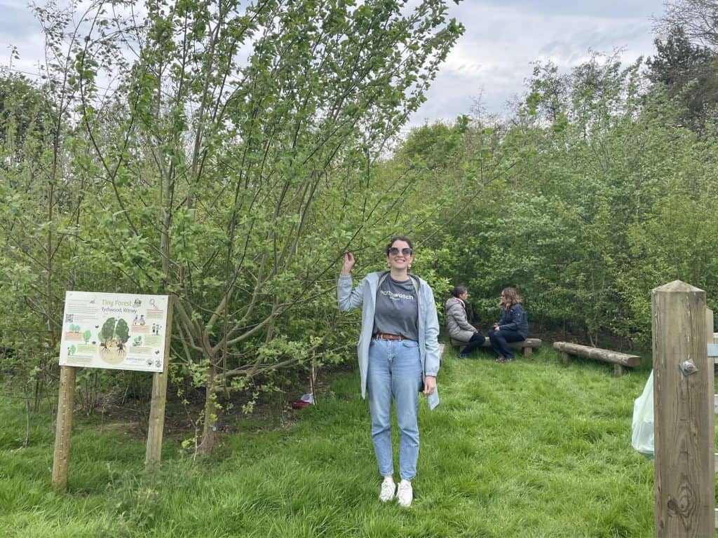 Tychwood Tiny Forest with trees towering over people in the forest. Planted with the Miyawaki forest method.