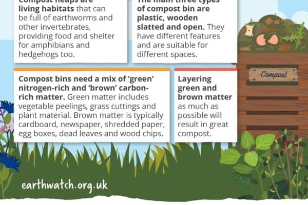 Create compost