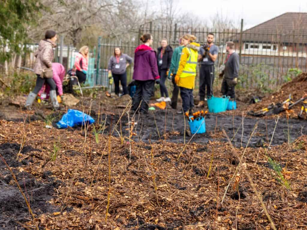 A small group of people chat and compare muddy hands behind a freshly-planted Tiny Forest